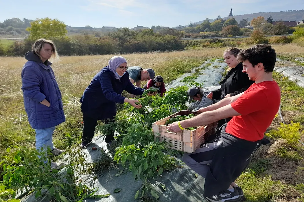 Le maraîchage collectif